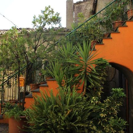 Bed and Breakfast La Scaletta Formello Exterior foto